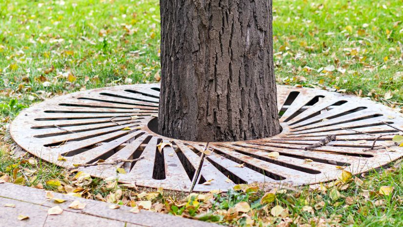 A tree grid similar to that in the claim